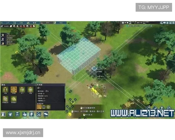 大阳城城地址平台常见问题及解决方法全面解析助你顺利游戏