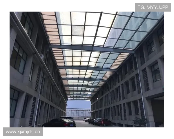 新濠锋娱乐最新动态与未来发展趋势全面解析助你掌握行业前沿信息