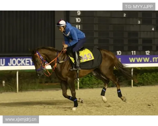 澳门赛马会赛事资讯为您提供最权威的赛事信息与赛况分析